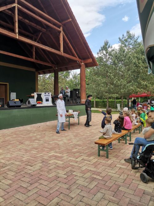 Kaszó 2025.05.17. Hangerdő 4211.