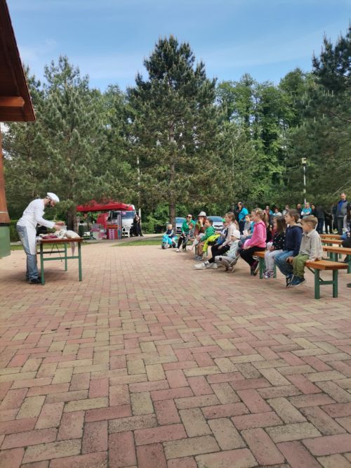 Kaszó 2025.05.17. Hangerdő 4212.