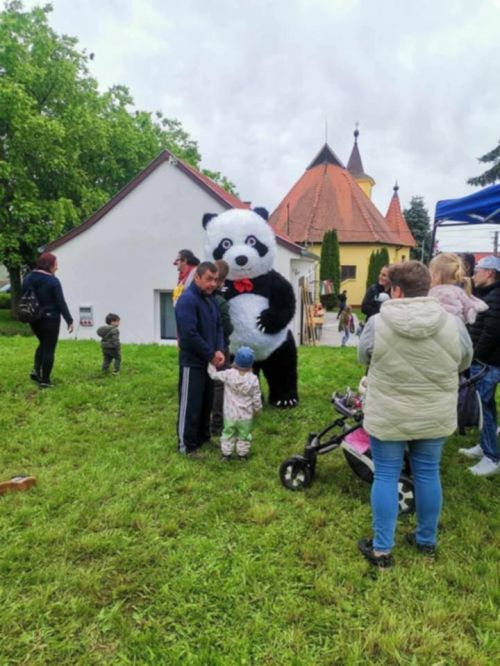 Porrog 2025.05.23. Ködből palotát 4228.