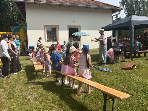 Simonfa 2026.05.31. Ribizli bohóc 4297.