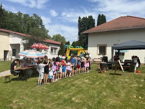Simonfa 2026.05.31. Ribizli bohóc 4299.